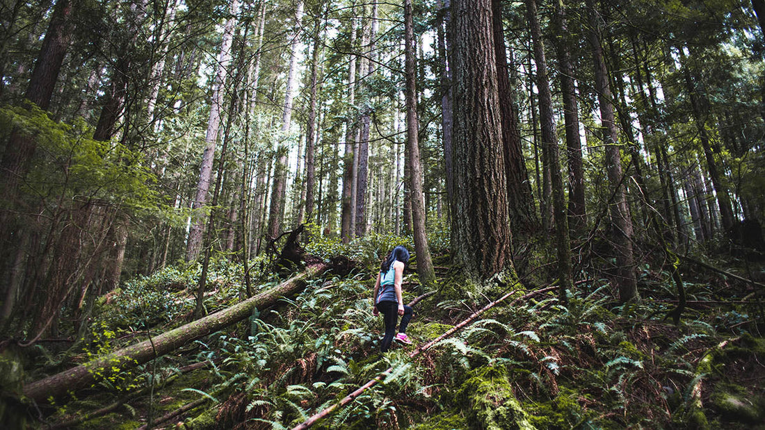 A-secluded-forest-for-masturbation-spot