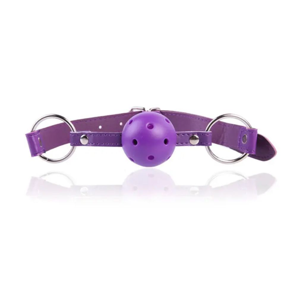 ColorfulLeatherMouthGagBallPurple