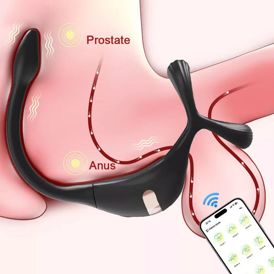 App Controlled Cock Ring with Mini Prostate Massager